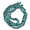 Natural HuBei Turquoise Bead Strands G-H345-A01-01-3