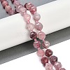 Natural Strawberry Quartz Beads Strands G-G182-B12-05-2