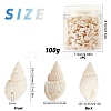 Natural Trumpet Shell Beads BSHE-SC0001-03-2
