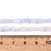 Anti-Tarnish Electroplate Glass Beads Strands GLAA-T025-27E-4