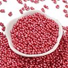 Glass Seed Beads SEED-L011-04A-08-2