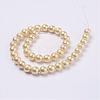 Wrinkle Textured Shell Pearl Beads Strands BSHE-E016-8mm-04-2