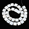 Natural Freshwater Shell Beads Strands SHEL-Q024-014-2