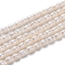 Grade AA Natural Cultured Freshwater Pearl Beads Strands PEAR-L033-65