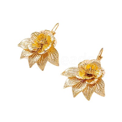 Alloy Dangle Earrings for Women WGBE734-01-1