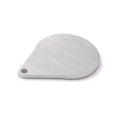 Tarnish Resistant 304 Stainless Steel Pendants STAS-F271-05B-P-1