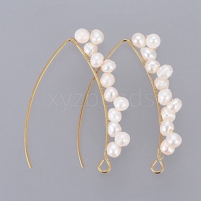 PVD Vacuum Plating 304 Stainless Steel Earring Hooks X-EJEW-JE03759-1
