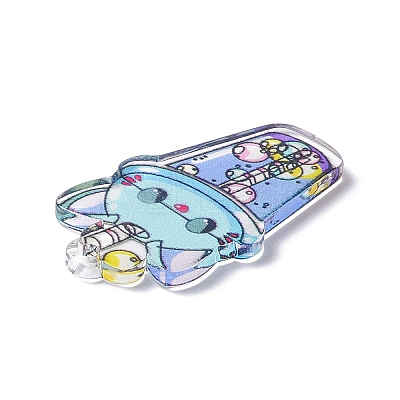 Transparent Printed Acrylic Pendants LS-TACR-G042-01E-1