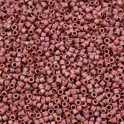MIYUKI Delica Beads X-SEED-J020-DB2306-1