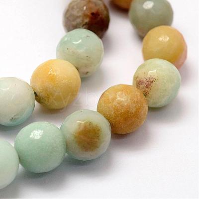 Faceted Natural Flower Amazonite Beads Strands G-F364-13-10mm-1