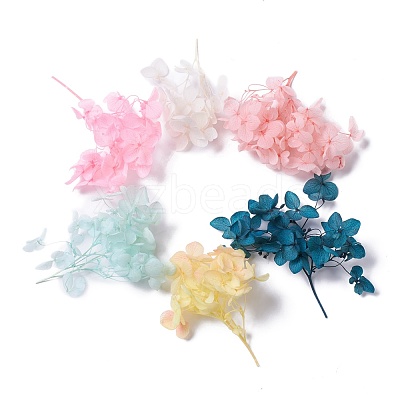 Dried Flowers X-DIY-D052-17-1