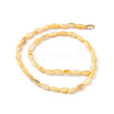 Natural Freshwater Shell Dyed Beads Strands SHEL-M018-13-09-1