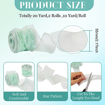 Polyester Deco Mesh Ribbons OCOR-TAC0024-004G-1