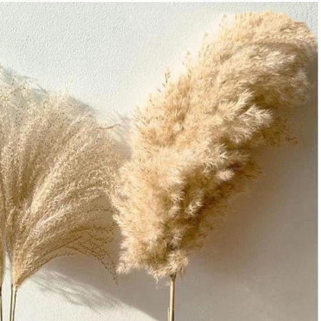 Mini Dried Grass Bouquet for Wedding Party Home Table Decoration HULI-PW0002-114C-1