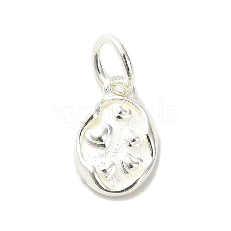 Sterling Silver Charms STER-E070-03C-1