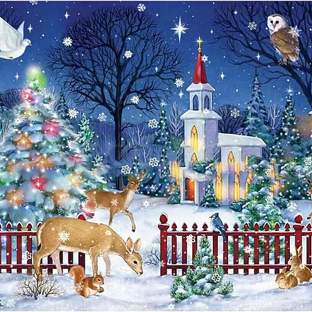 DIY Christmas Theme Diamond Painting Kits DIY-U002-02H-1