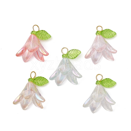 6Pcs Transparent Acrylic Pendants PALLOY-JF02300-01-1