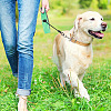 GOMAKERER 2Pcs 2 Colors Steel Wire Chew-Proof Dog Leash Extension AJEW-GO0001-39-6