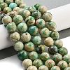 Natural Peruvian Turquoise(Jasper) Beads Strands G-Z062-A01-03-2