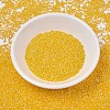 MIYUKI Delica Beads SEED-X0054-DB1562-2