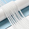 Imitate Austrian Crystal Frosted Glass Beads Strands LS-GLAA-F029-TM3mm-B13-4