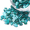 Shell Beads X-SHEL-R020-07-2