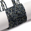 Natural Sapphire Beads Strands G-F803-A01-01B-2