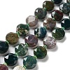 Natural Indian Agate Beads Strands G-NH0004-015-1
