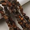 Raw Rough Natural Amber Beads Strands GG-CBAC13F-D01-01-1