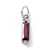 304 Stainless Steel Cubic Zirconia Pendants STAS-E487-21P-07-1