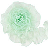 Polyester Lace Ribbon OCOR-WH20018-62B-1