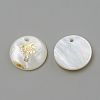 Freshwater Shell Pendants X-SHEL-Q010-008G-2