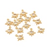 Brass Glass Charms KK-A179-10G-2