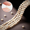 CHGCRAFT 3 Strands Natural Freshwater Shell Beads Strands SHEL-CA0001-007-3