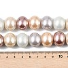 Shell Pearl Bead Strands BSHE-XCP0001-22-4