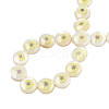 Natural Freshwater Shell Enamel Beads SHEL-N026-192-4