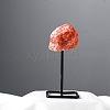 Natural Sunstone Irregularity with Metal Home Decoration Ornament PW-WG598C7-12-1