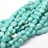 Natural Amazonite Gemstone Nuggets Bead Strands G-J336-32-1