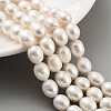 Natural Cultured Freshwater Pearl Beads Strands PEAR-P062-13E-2