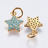 Brass Micro Pave Cubic Zirconia Charms X-RB-I077-21G-RS-2