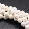 Shell Pearl Beads Strands BSHE-E008-8mm-12-1