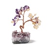 Natural Yellow Quartz & Amethyst Tree Display Decoration DJEW-G027-05RG-04-1