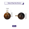 SUNNYCLUE Natural Tiger Eye Charms G-SC0001-49C-2