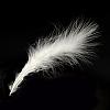 Fashion Feather Costume Accessories FIND-Q040-04A-1