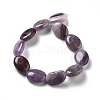Natural Amethyst Beads Strands G-P528-M16-01-3
