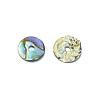 Natural Paua Shell/Abalone Shell Beads SSHEL-E551-31-2