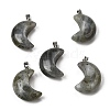 Natural Labradorite Pendants G-F820-02C-1