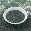MIYUKI Round Rocailles Beads SEED-X0054-RR0288-2
