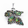 Leaf Shape Natural Abalone Shell/Paua Shell Brooch Pin G-N333-011A-RS-2