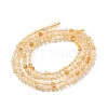 Natural Citrine Beads Strands G-I289-02-2